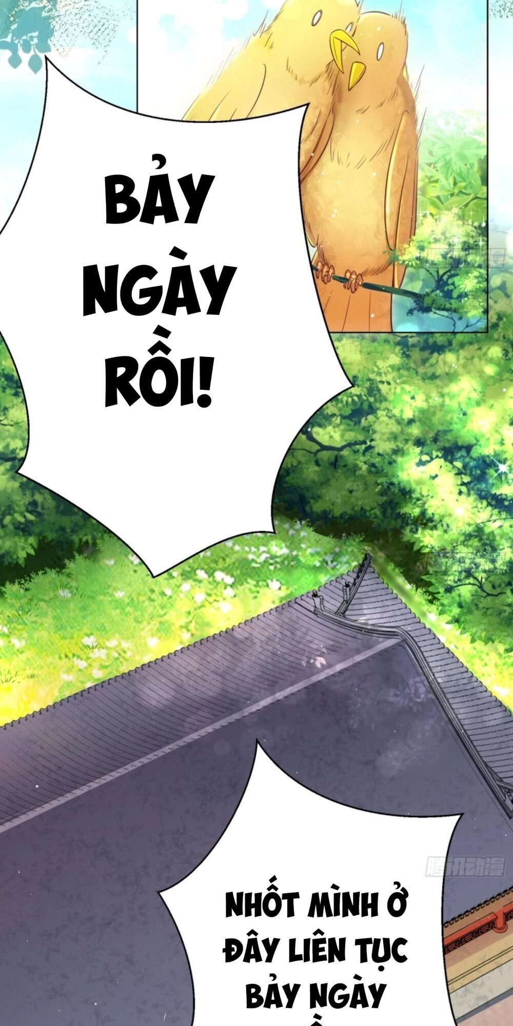 Hậu Cung Của Nữ Hoàng Có Chút Loạn Chapter 9 - 4