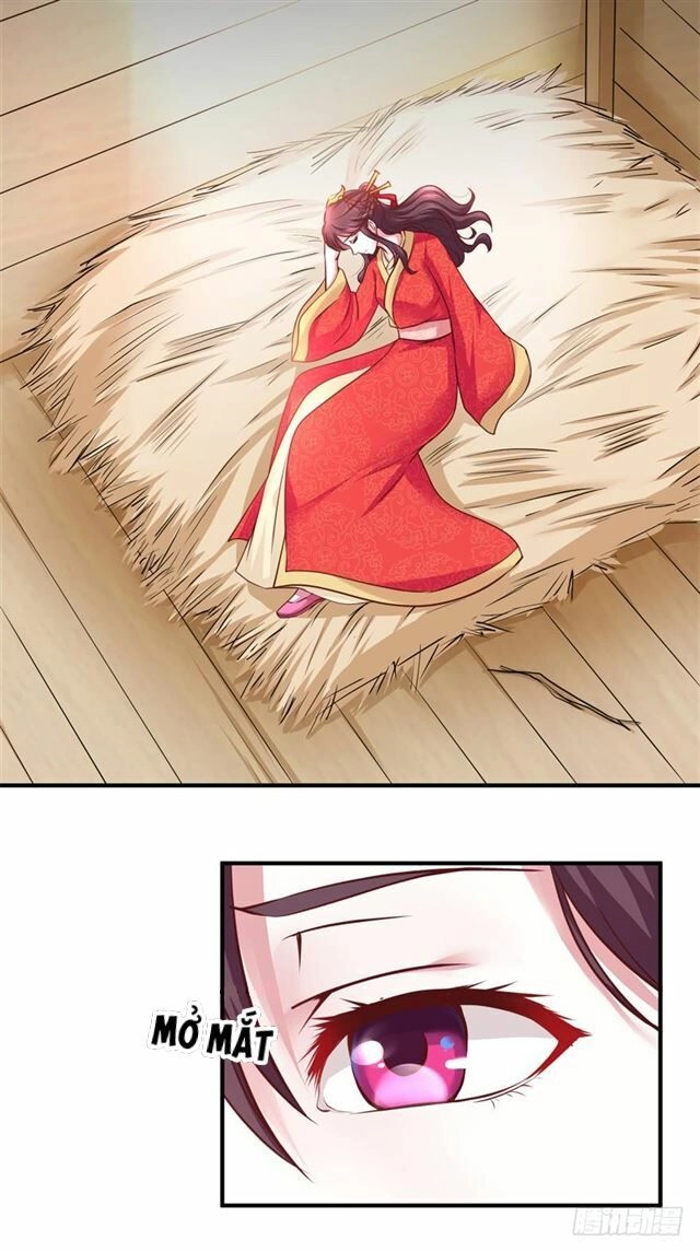 Đế Hoàng Chi Thần Y Khí Phi Chapter 1 - 11