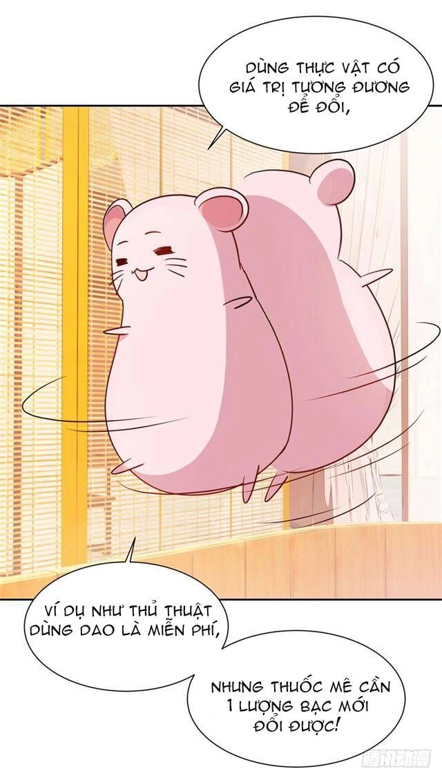 Đế Hoàng Chi Thần Y Khí Phi Chapter 4 - 15