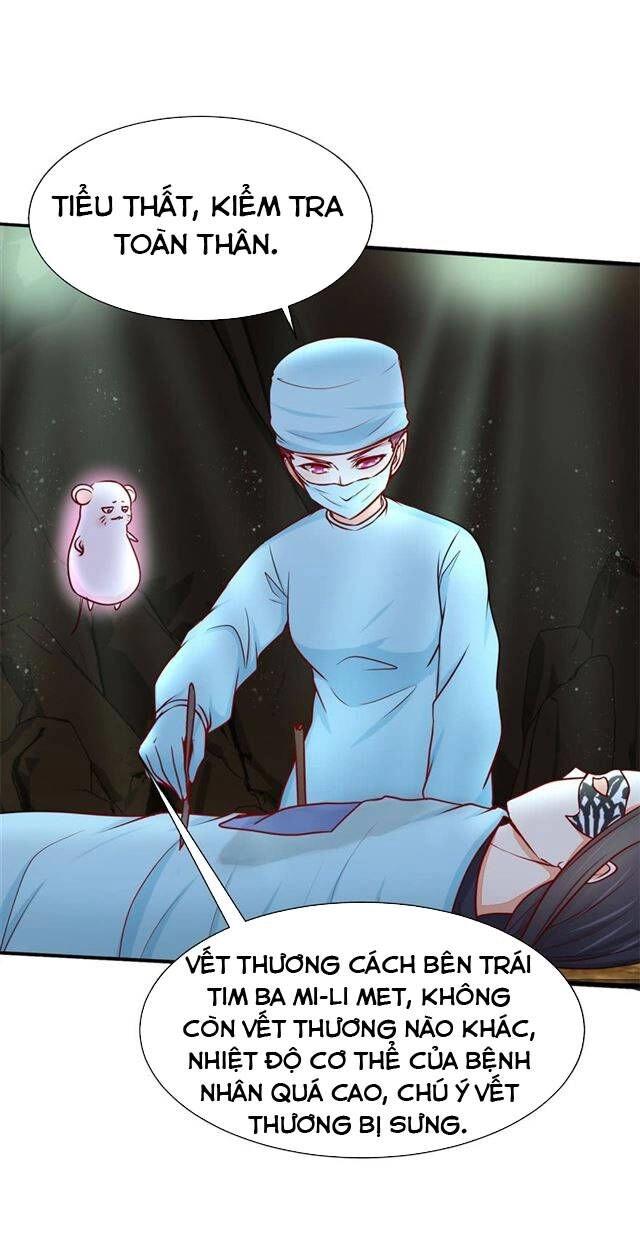 Đế Hoàng Chi Thần Y Khí Phi Chapter 8 - 29