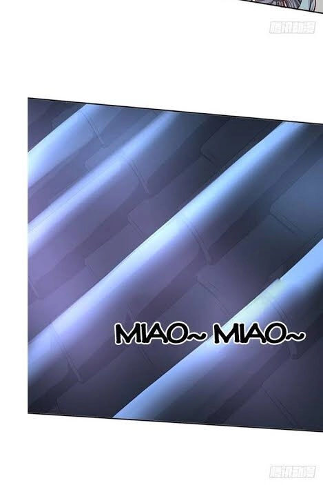 Đế Hoàng Chi Thần Y Khí Phi Chapter 13 - 9