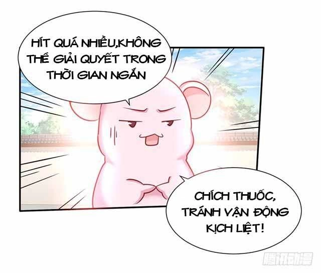 Đế Hoàng Chi Thần Y Khí Phi Chapter 24 - 11