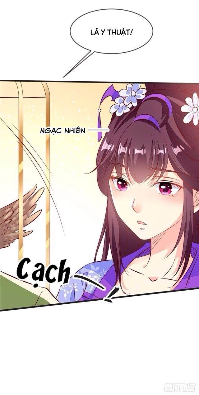 Đế Hoàng Chi Thần Y Khí Phi Chapter 35 - 15