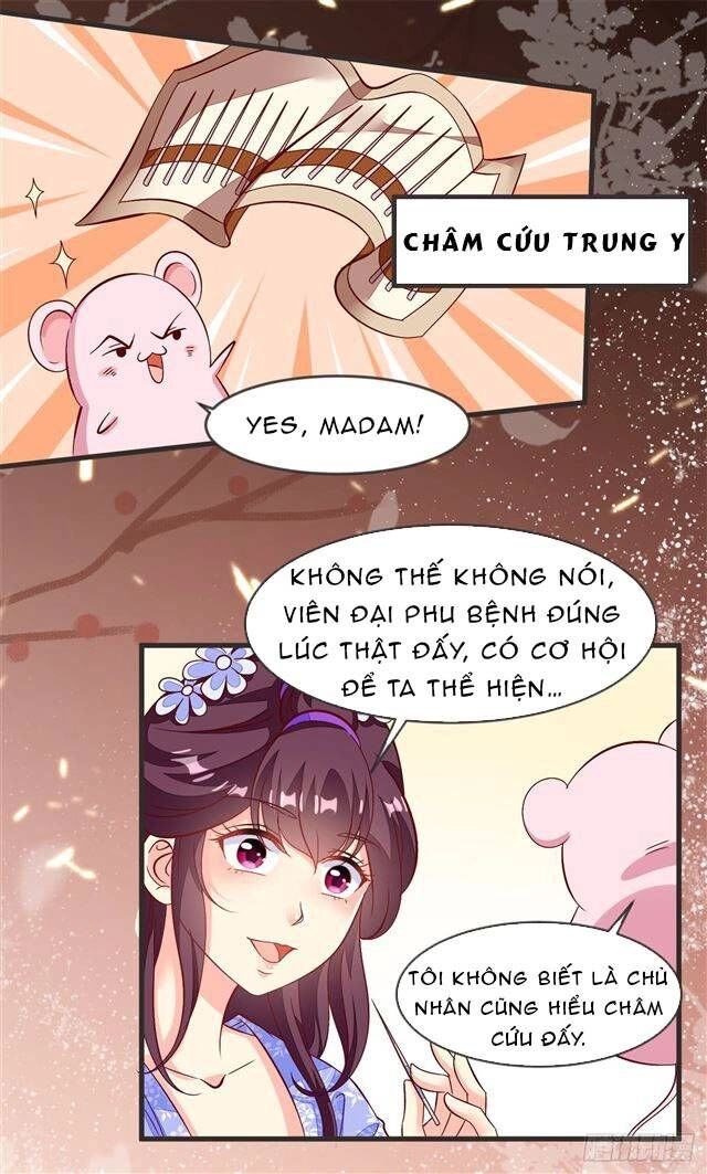 Đế Hoàng Chi Thần Y Khí Phi Chapter 36 - 5