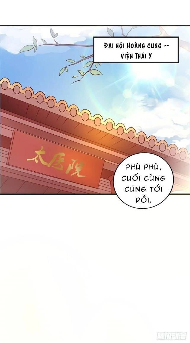 Đế Hoàng Chi Thần Y Khí Phi Chapter 39 - 20