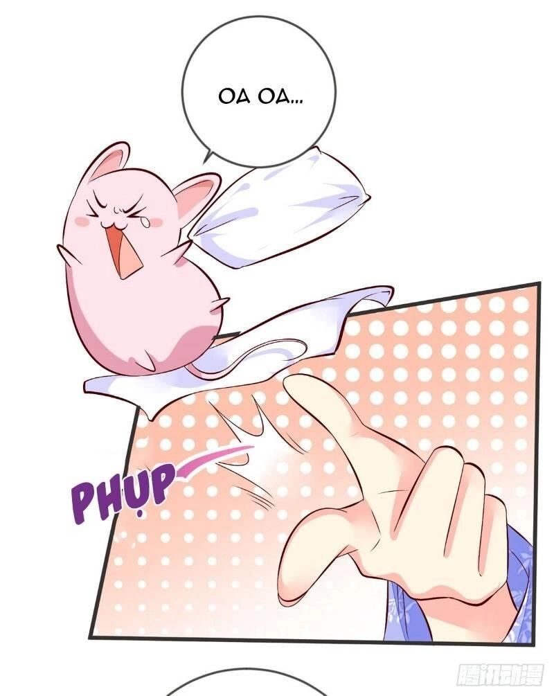 Đế Hoàng Chi Thần Y Khí Phi Chapter 41 - 9