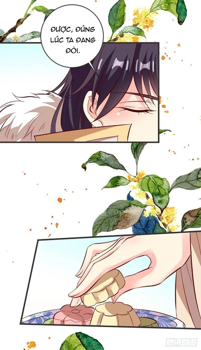 Đế Hoàng Chi Thần Y Khí Phi Chapter 41 - 21