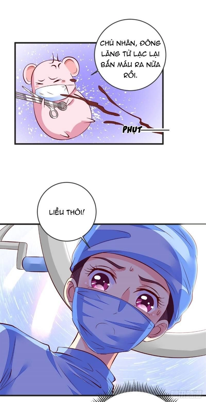 Đế Hoàng Chi Thần Y Khí Phi Chapter 41 - 26