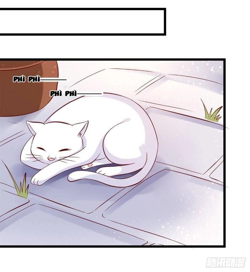 Đế Hoàng Chi Thần Y Khí Phi Chapter 45 - 37