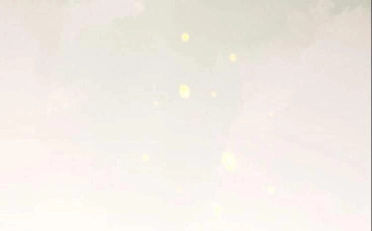 Hắc Kim Đảo Chapter 29 - 77