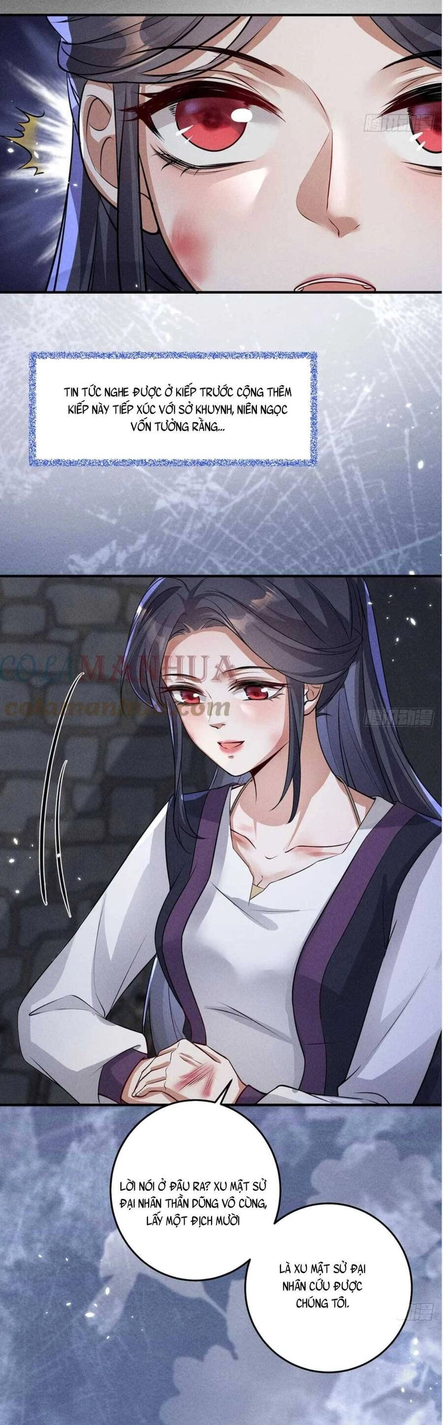 Tái Sinh Trở Lại : Ta Trở Thành Độc Y Thái Tử Phi Chapter 25 - 21