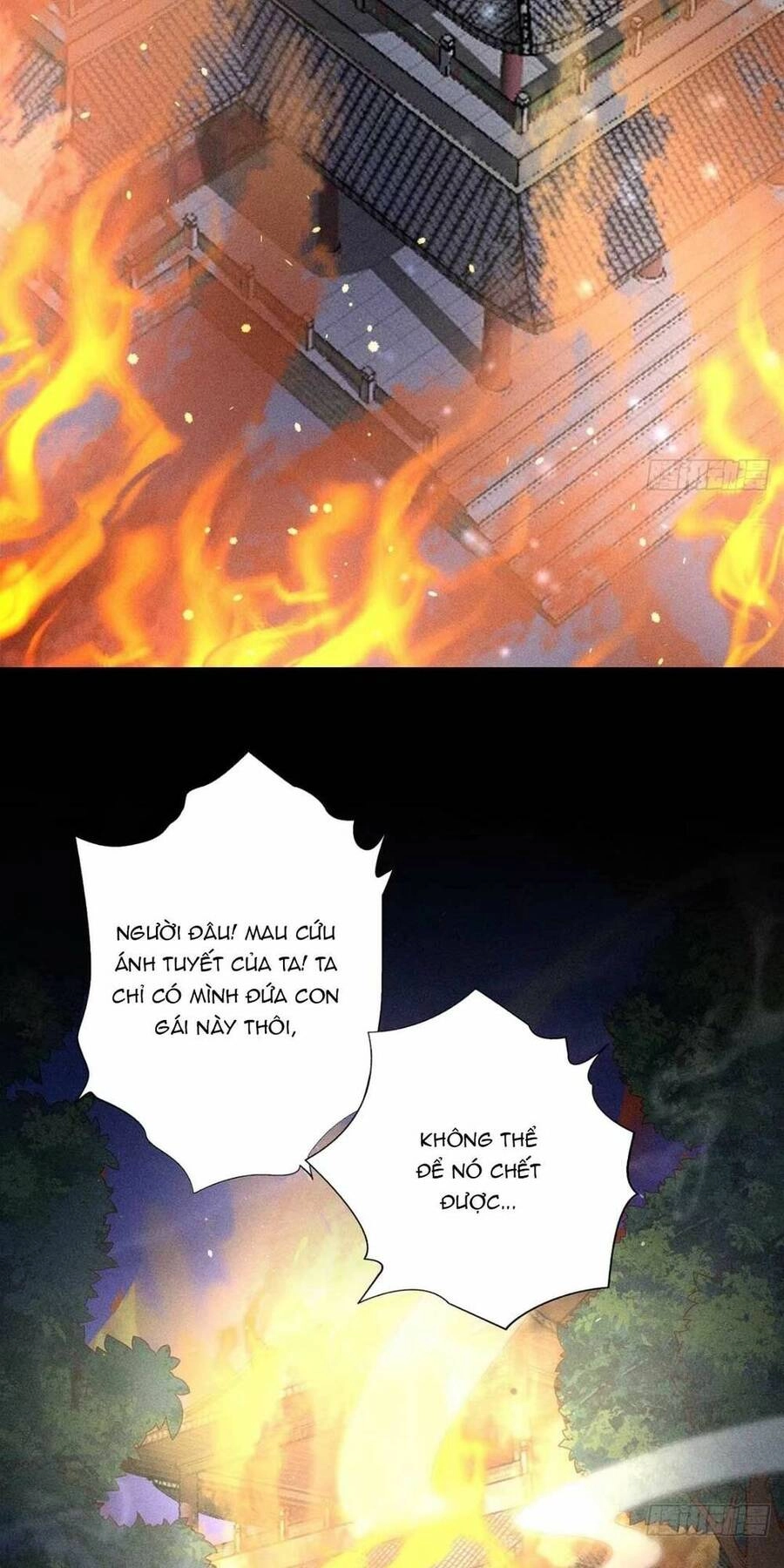 Tái Sinh Trở Lại : Ta Trở Thành Độc Y Thái Tử Phi Chapter 2 - 31