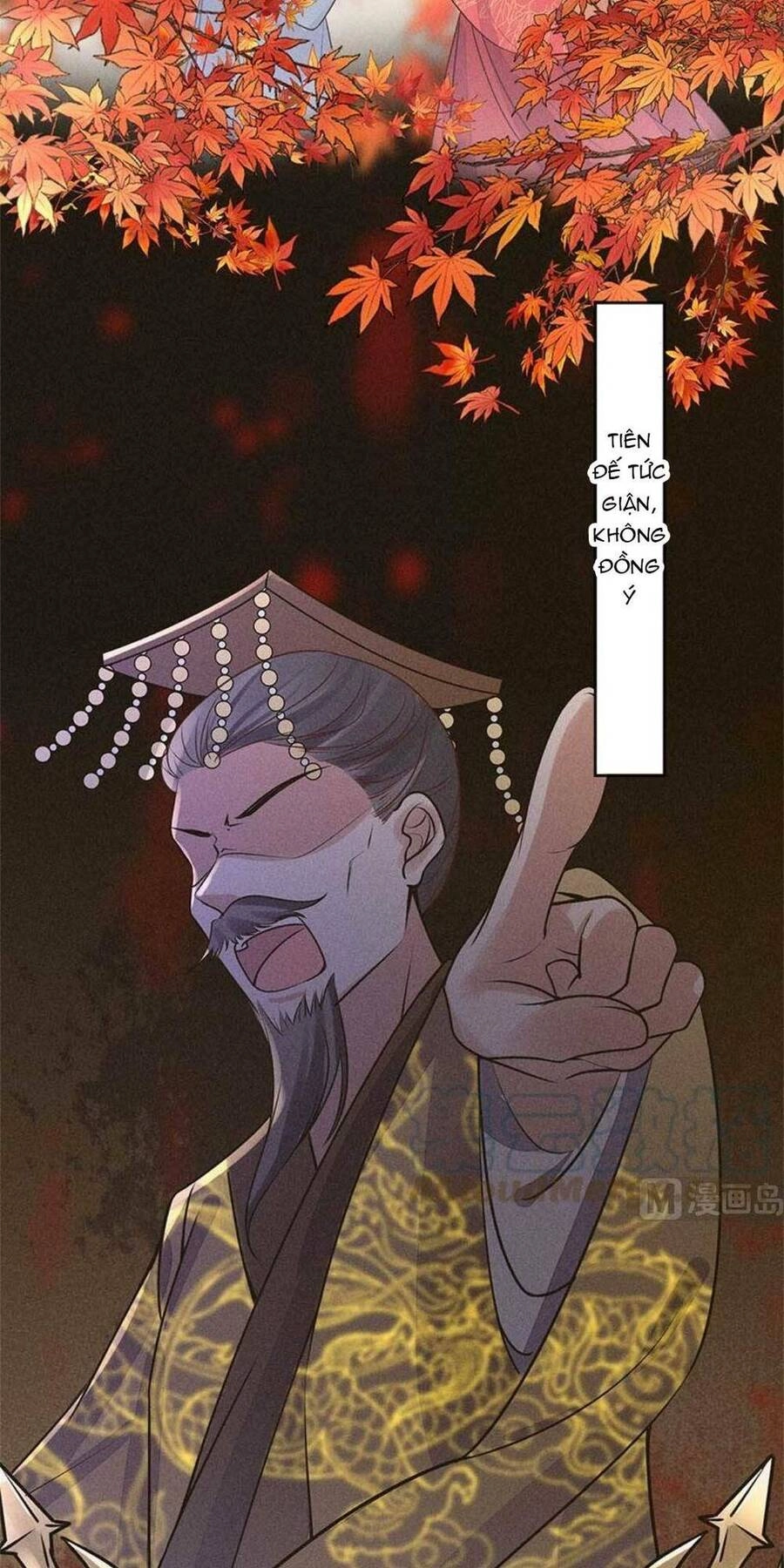 Tái Sinh Trở Lại : Ta Trở Thành Độc Y Thái Tử Phi Chapter 16 - 11