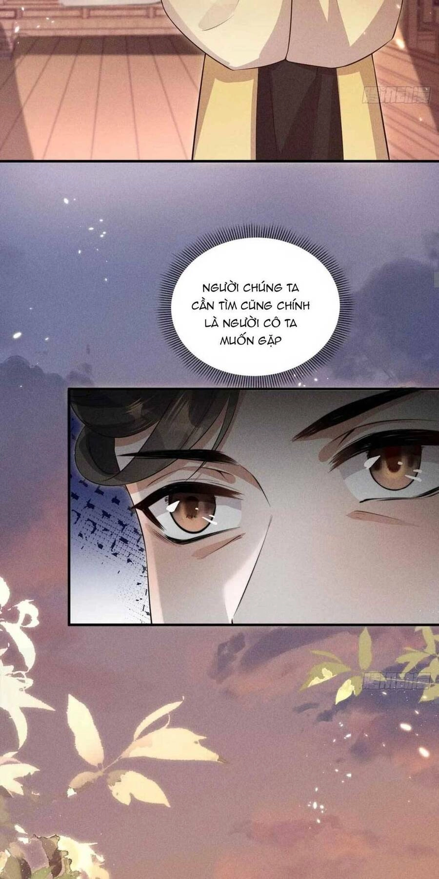 Tái Sinh Trở Lại : Ta Trở Thành Độc Y Thái Tử Phi Chapter 20 - 43