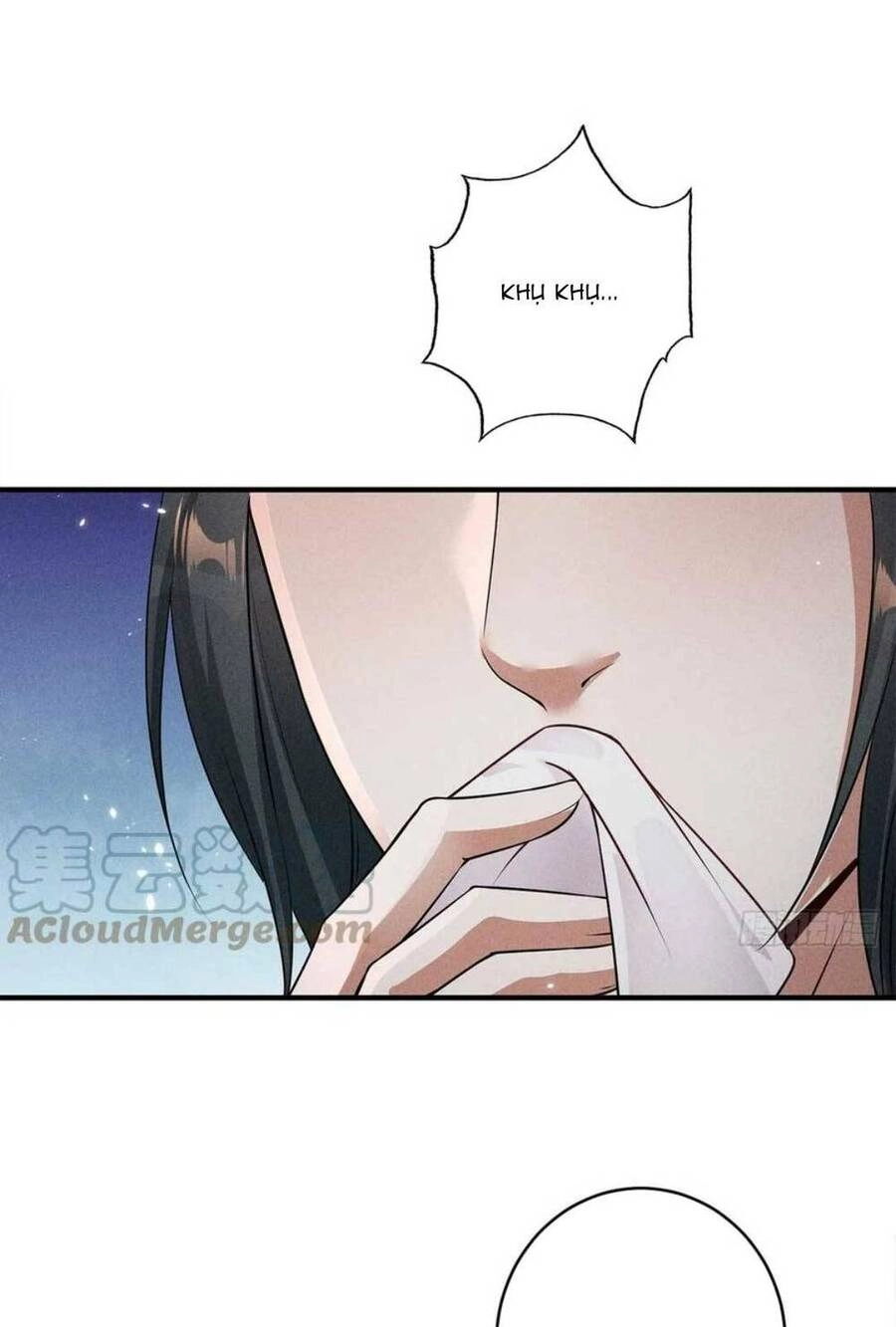 Tái Sinh Trở Lại : Ta Trở Thành Độc Y Thái Tử Phi Chapter 21 - 38