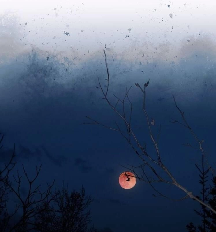 Thần Trạch Chapter 18 - 42