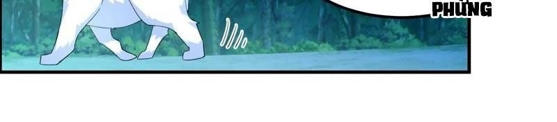 Tối Cường Quang Hoàn Hệ Thống Chapter 29 - 16