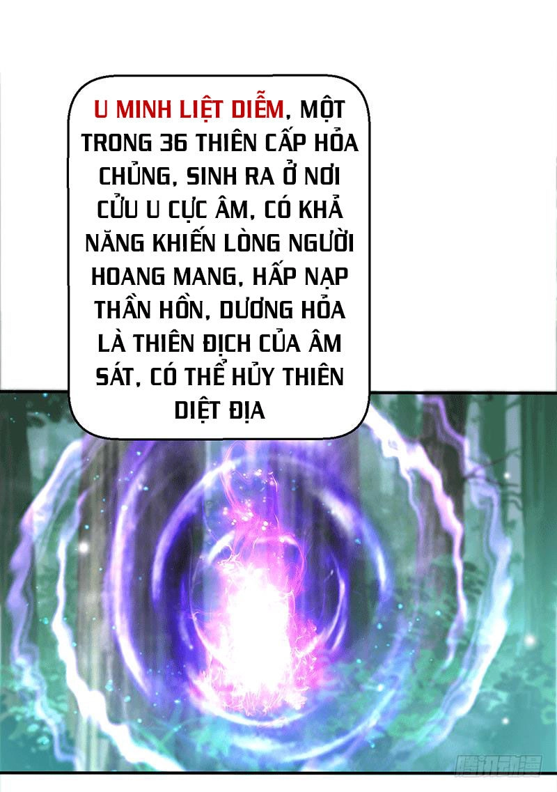 Ta Có Một Bộ Hỗn Độn Kinh Chapter 14 - 28