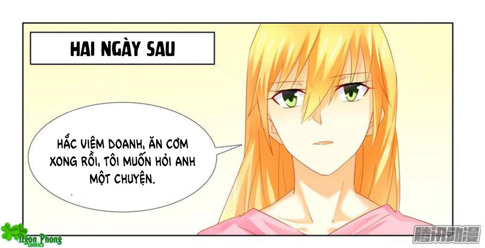 Phúc Hắc Tổng Tài Đừng Tới Đây Chapter 19 - 25