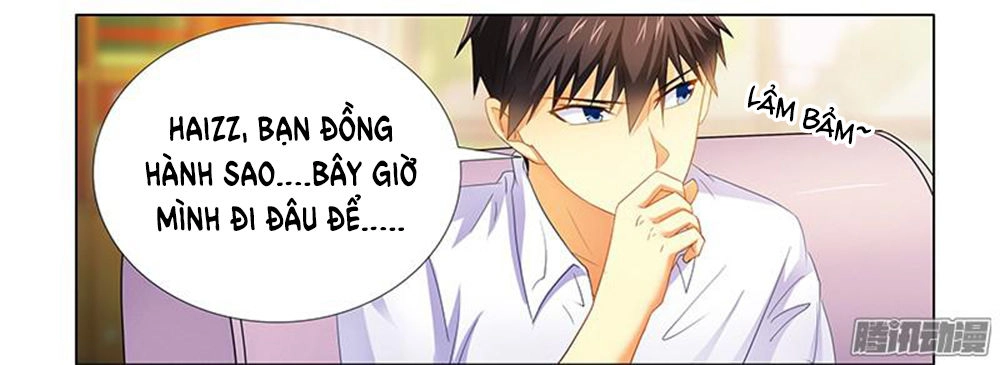 Phúc Hắc Tổng Tài Đừng Tới Đây Chapter 20 - 33