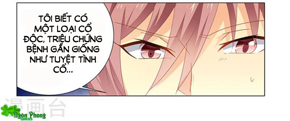 Phúc Hắc Tổng Tài Đừng Tới Đây Chapter 62 - 4