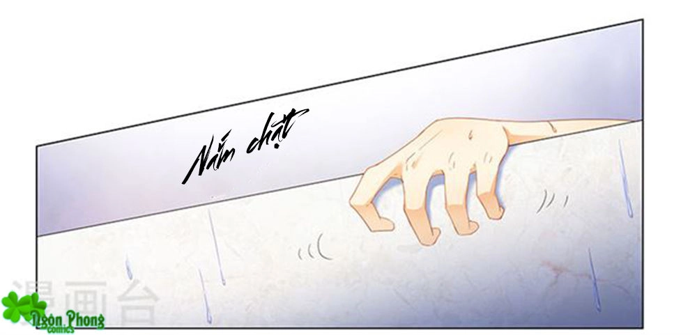 Phúc Hắc Tổng Tài Đừng Tới Đây Chapter 62 - 19