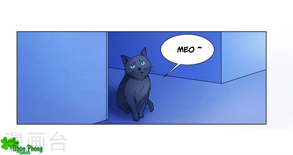 Phúc Hắc Tổng Tài Đừng Tới Đây Chapter 64 - 9