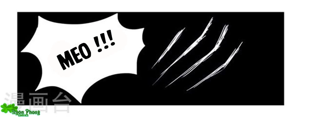 Phúc Hắc Tổng Tài Đừng Tới Đây Chapter 64 - 12