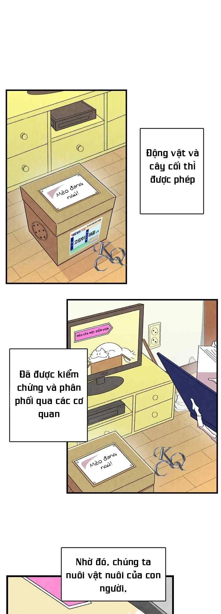 Skeleton Làm Bố Chapter 1 - 48