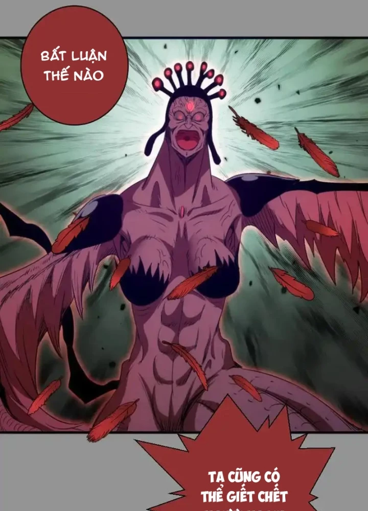 Cao Đẳng Linh Hồn Chapter 354 - 73