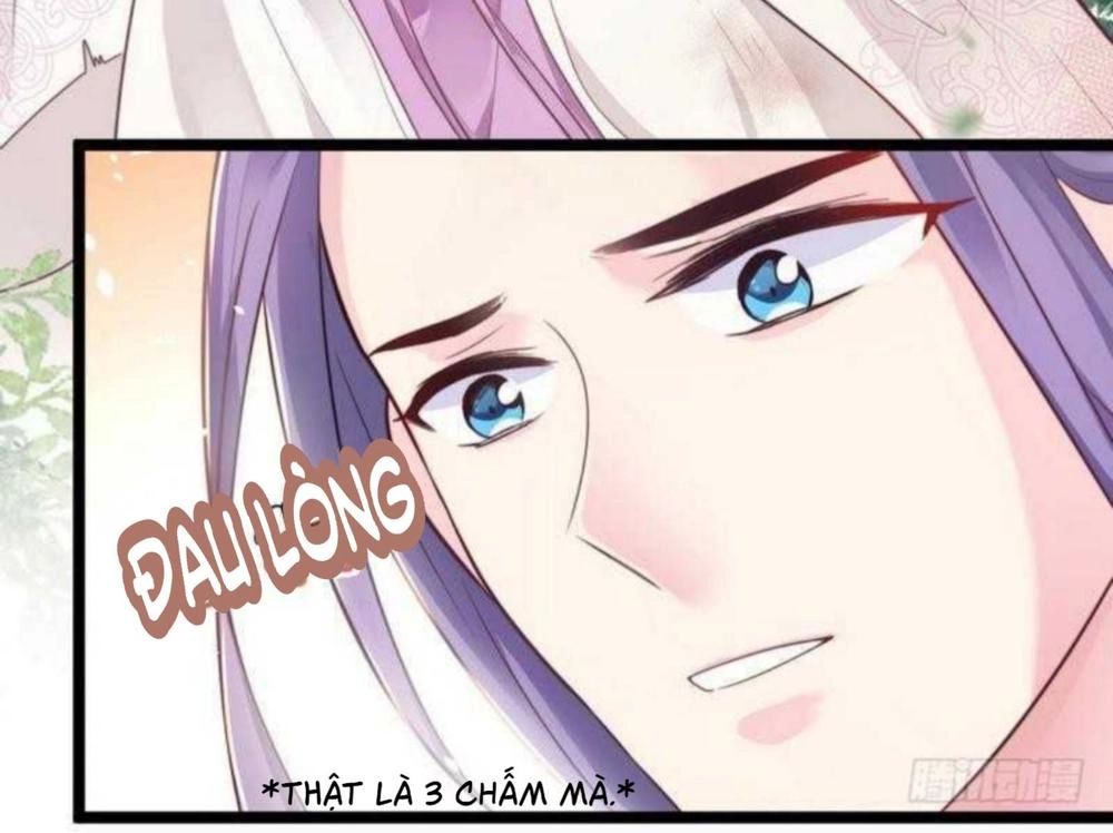 Vương Phi - Âm Động Thiên Hạ Chapter 23 - 31