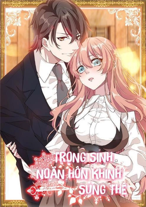 Trọng Sinh Noãn Hôn Khinh Sủng Thê Chapter 6 - 1