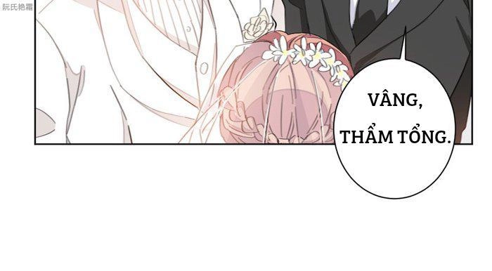 Trọng Sinh Noãn Hôn Khinh Sủng Thê Chapter 6 - 17