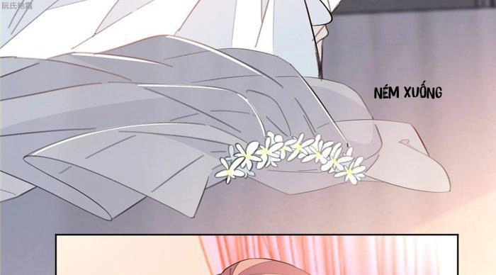 Trọng Sinh Noãn Hôn Khinh Sủng Thê Chapter 6 - 32