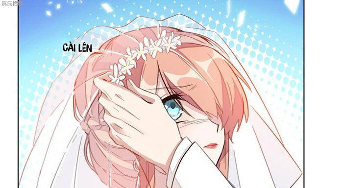 Trọng Sinh Noãn Hôn Khinh Sủng Thê Chapter 6 - 39