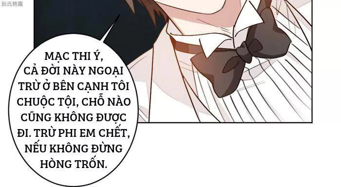 Trọng Sinh Noãn Hôn Khinh Sủng Thê Chapter 8 - 32