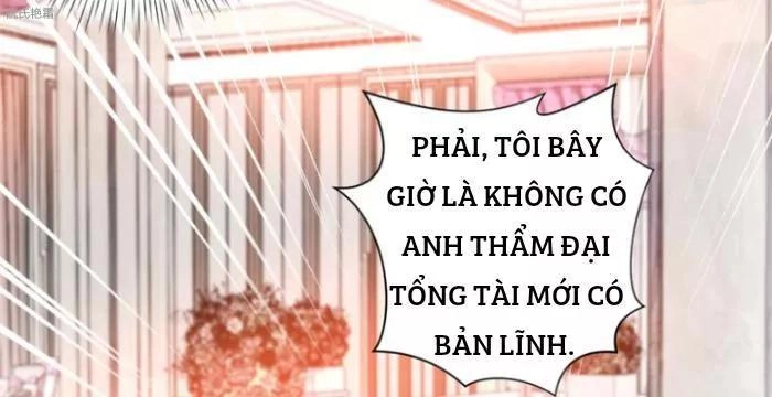 Trọng Sinh Noãn Hôn Khinh Sủng Thê Chapter 10 - 29