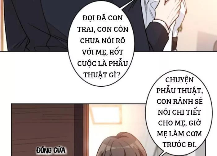 Trọng Sinh Noãn Hôn Khinh Sủng Thê Chapter 19 - 6