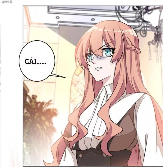 Trọng Sinh Noãn Hôn Khinh Sủng Thê Chapter 19 - 17