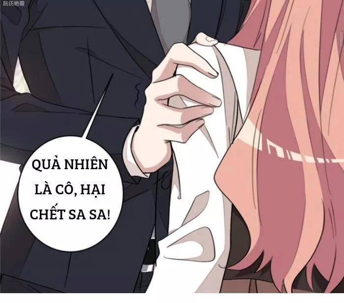 Trọng Sinh Noãn Hôn Khinh Sủng Thê Chapter 19 - 20