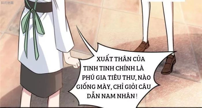 Trọng Sinh Noãn Hôn Khinh Sủng Thê Chapter 20 - 23