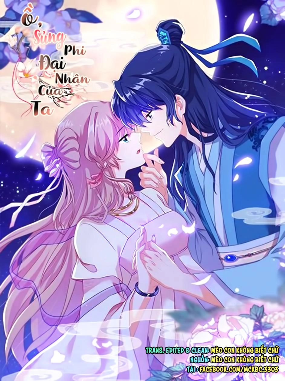 Ồ, Sủng Phi Đại Nhân Của Ta Chapter 7 - 2