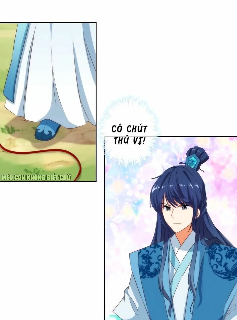Ồ, Sủng Phi Đại Nhân Của Ta Chapter 16 - 23