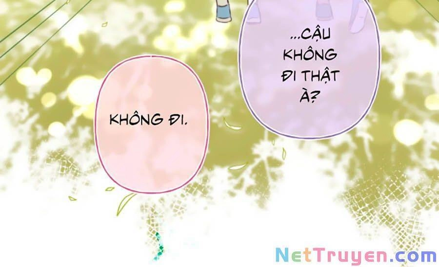 Vụng Trộm Giấu Không Được Chapter 1 - 23