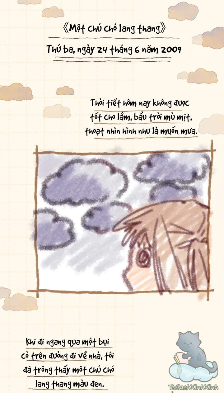 Vụng Trộm Giấu Không Được Chapter 11 - 25