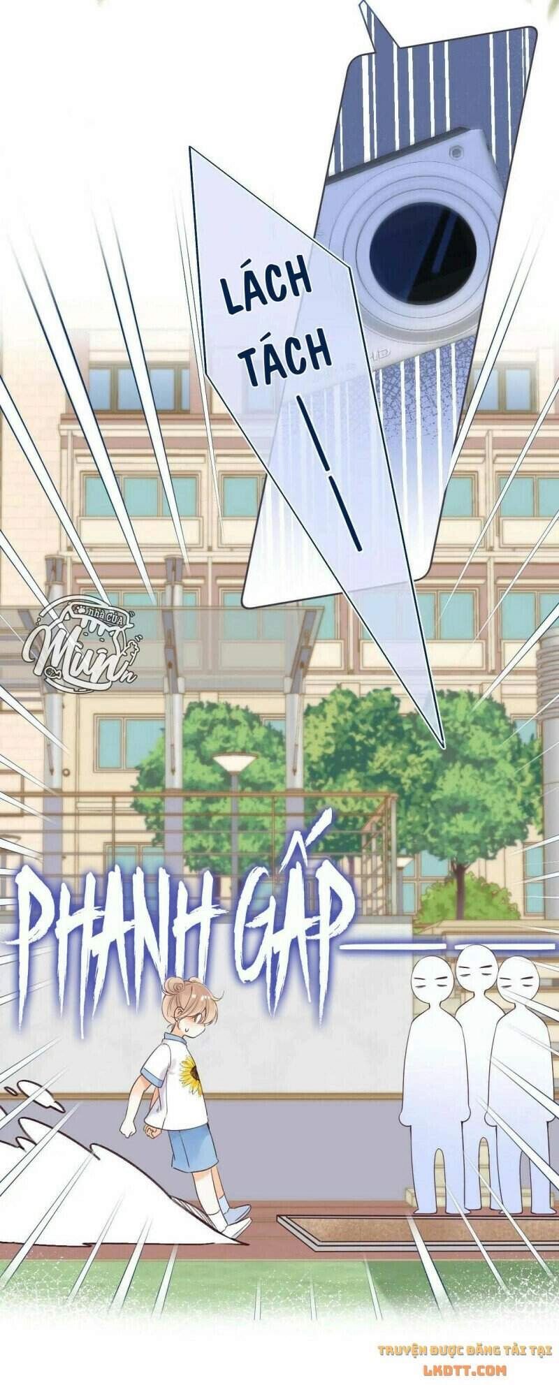 Vụng Trộm Giấu Không Được Chapter 24 - 14