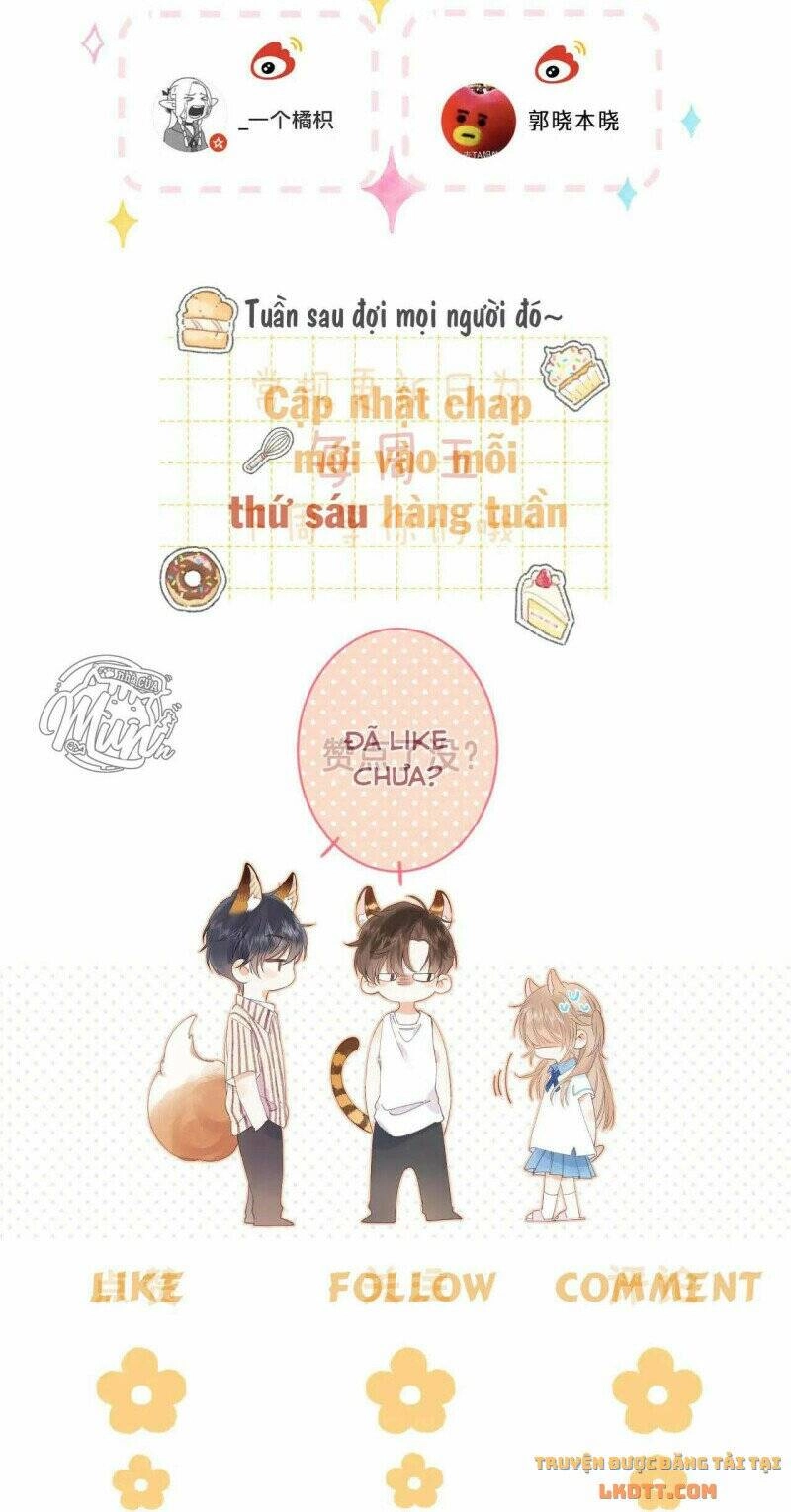 Vụng Trộm Giấu Không Được Chapter 26 - 43