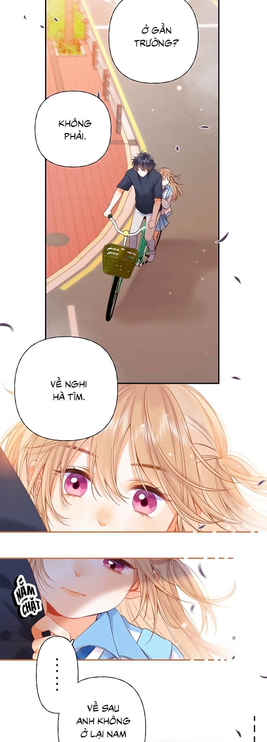 Vụng Trộm Giấu Không Được Chapter 32 - 4