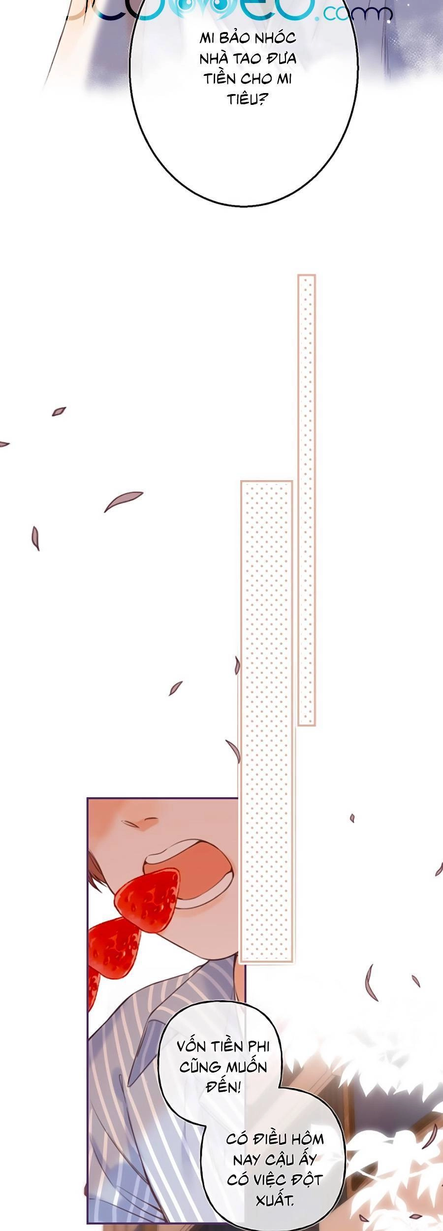 Vụng Trộm Giấu Không Được Chapter 33 - 14