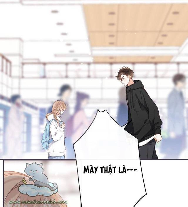 Vụng Trộm Giấu Không Được Chapter 46 - 29